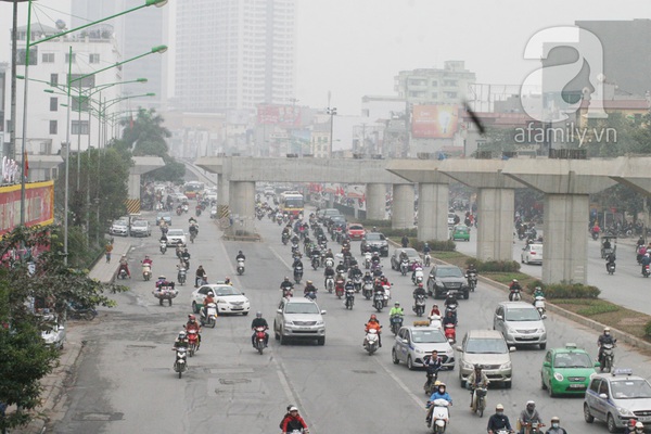 Chặt hết cây cổ thụ, nhiều người qua đường Nguyễn Trãi - Trần Phú tưởng bị lạc 13